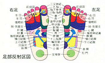 足部反射区図